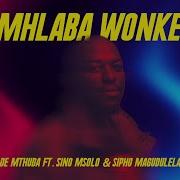 Mhlaba Wonke De Mthuda