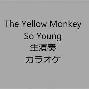 So Young Instrumental The Yellow Monkey