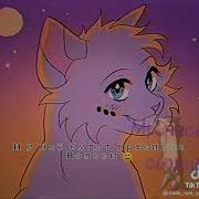 Утерянные Файлы Коты Воители