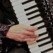 Bistro Fada Accordion Cover