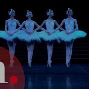 Swan Lake Tchaikovsky Dance Of The Little Swans