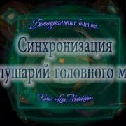 Синхронизация Полушарий Головного Мозга Бинауральные Биения