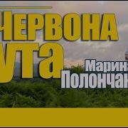 Червона Рута Марина Полончак