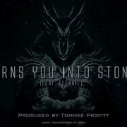 Turns You Into Stone Feat Fleurie Tommee Profitt