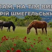 Гурт Бойки Ой Там На Тім Вигоні