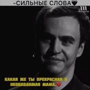 Здесь Так Много Правил Одни Лишь Законы Ошибся Видимо Дверью