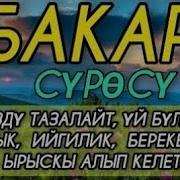 Уй Тазалоочу Дубалар Скачать