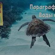 География Шестой Класс Параграф 30 Воды Океана