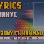 Hammali Минус