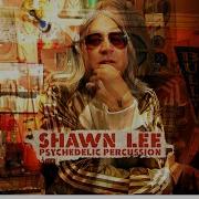 Gotown Shawn Lee