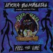 Afrika Bambaataa Vibe Radio Edit