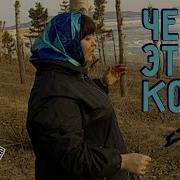 Чей Этот Конь Анастасия Заволокина Играй Гармонь