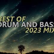 Bass 2023