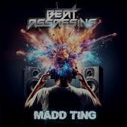 Madd Ting Beat Assassins