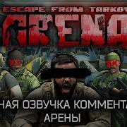 Озвучка Комментатора Арены