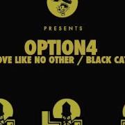 Black Cats Option4