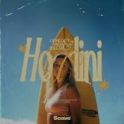 Houdini Odblu