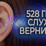 Матрицы Гаряева Для Лечения Слуха