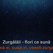 Zurgalai Karaoke