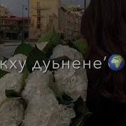 Со Муха Яхна Хилла Те Атмосфера Души Темнота Love
