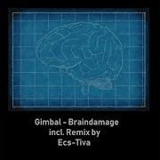 Gimbal Braindamage