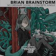 No Ordinary Sound Brian Brainstorm