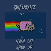 Nyan Cat Sped Up