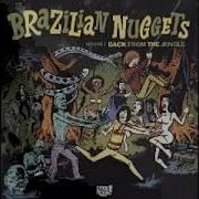 Various Brazilian Nuggets Back From The Jungle Vol 1 60S Garage Rock