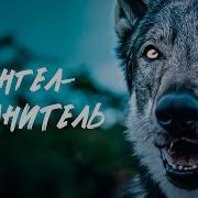 Ангел Хранитель
