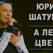 Юрий Шатунов Рыжая Осень