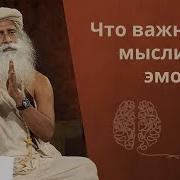 Садхгуру Искуство Управлять Сердцем И Мозгом