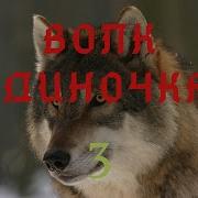 Сергей Шанс Волк Одиночка