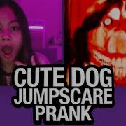 3 Smile Dog Jumpscare