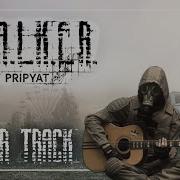 Stalker Guitar 4