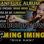 Diva Hani Cinta Bojone Uwong Hehe Haha Iming Iming Full Album Abang Ebong