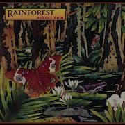 Rainforest Suite Surface Robert Rich