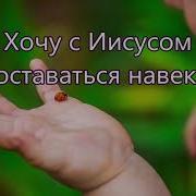 Не Бойся Коровка