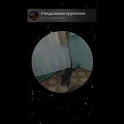 Что Ж Делать Что Же Делать Мем