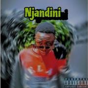 Njandini Release Topic