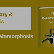 Metamorphosis But Another Character