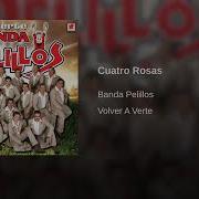 Cuatro Rosas Banda Pelillos Marvin Barragan