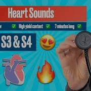 Pi Ntilde Ata Heartsounds