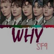 Why Sf9