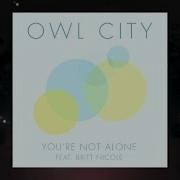 Owl City You Rsquo Re Not Alone