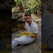 Мужской Магнетизм