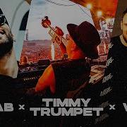 Timmy Trumpet Distant Memory