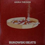 That S The Way It Goes Instrumental Akira The Don