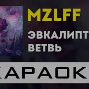 Эвкалиптова Ветвь Караоке