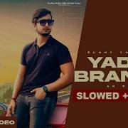 Yadav Brand 2 Lofi Mix Slowed Reverb Sunny Yaduvanshi Ak I Nitesh I Latest Haryanvi Songs 2023 Music