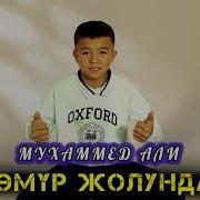 Мухамед Али Омур